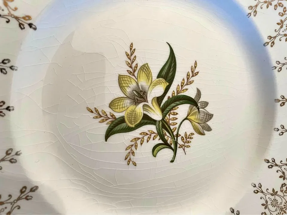 52-piece Swinnertons Staffordshire Dinnerware thumbnail