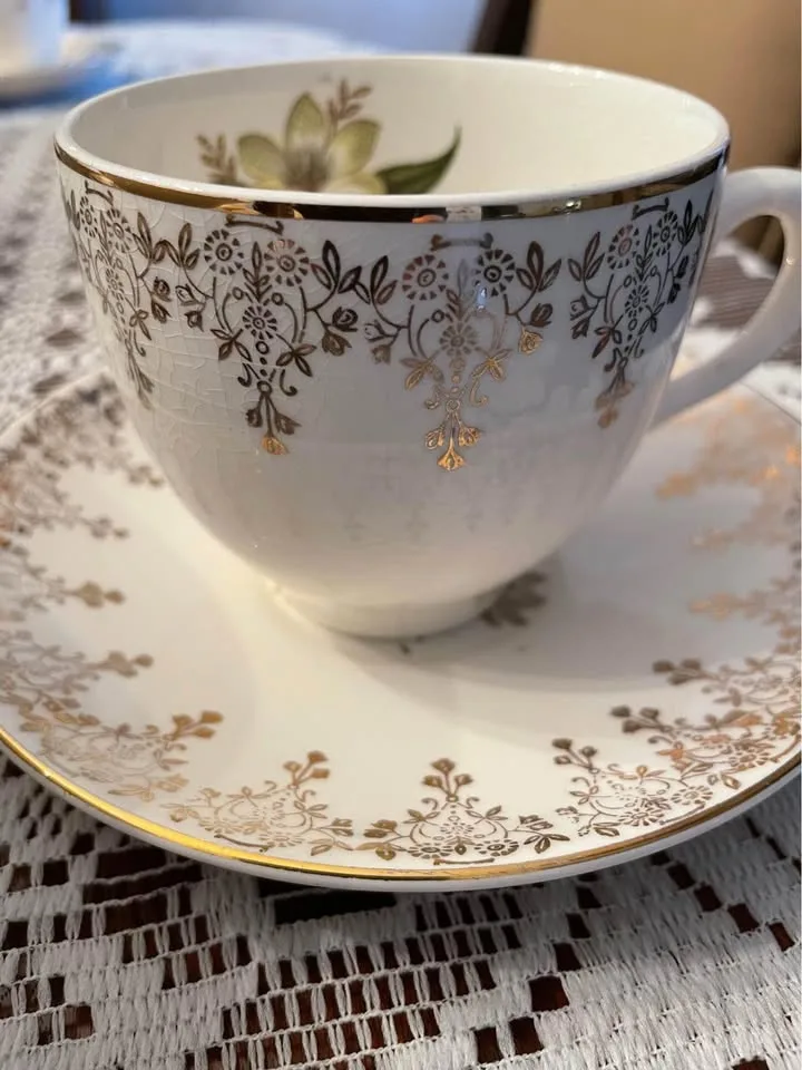 52-piece Swinnertons Staffordshire Dinnerware image indicator(2)