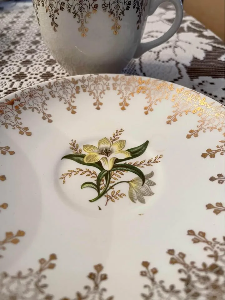 52-piece Swinnertons Staffordshire Dinnerware image indicator(3)