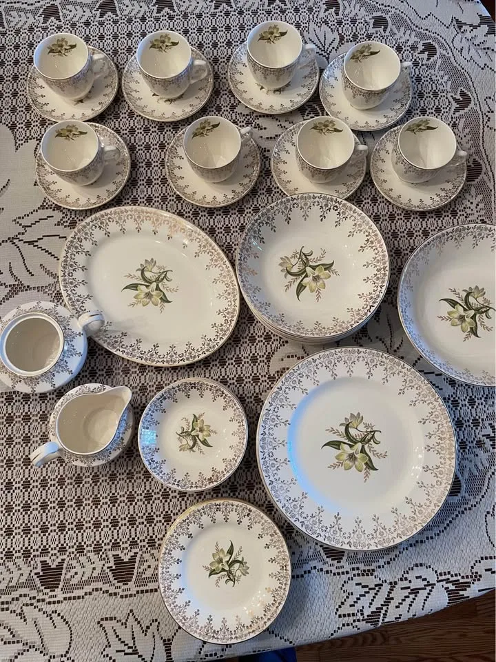 52-piece Swinnertons Staffordshire Dinnerware image indicator(5)