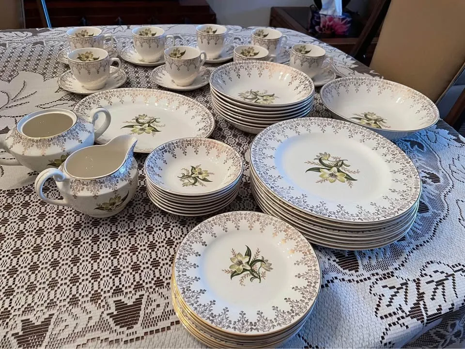 52-piece Swinnertons Staffordshire Dinnerware image indicator(6)