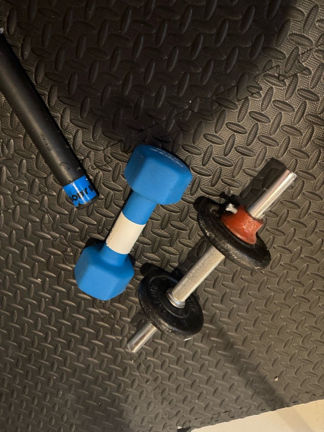 10lb dumbbells