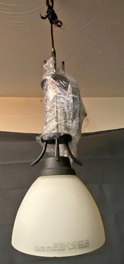 1 Light Pendant Black 19"H x 8"W 1 Bulb