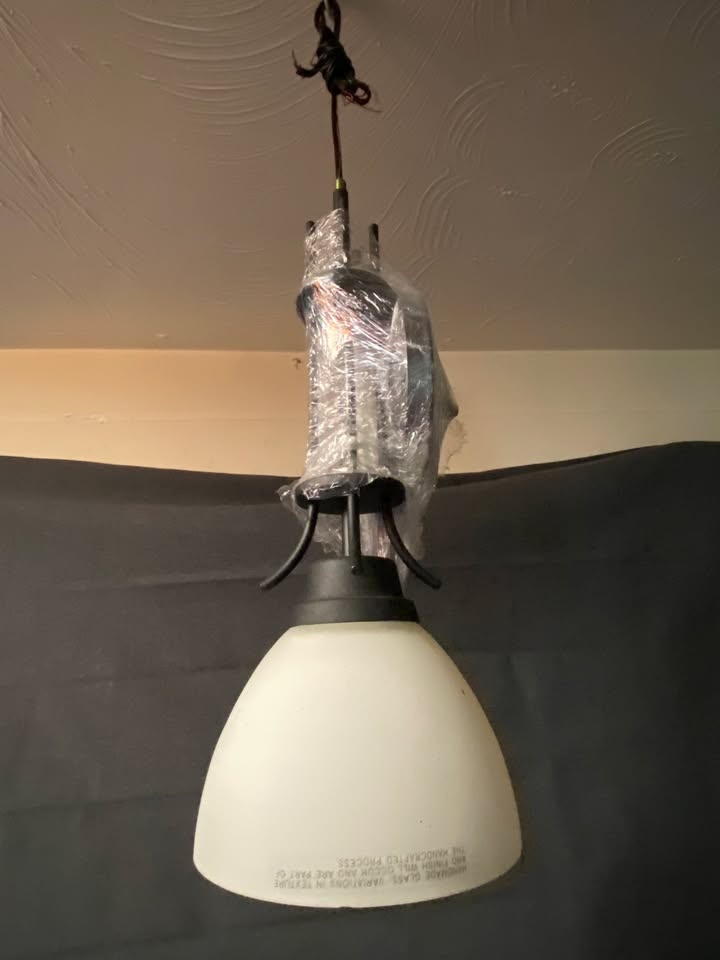 1 Light Pendant Black 19"H x 8"W 1 Bulb - photo 2