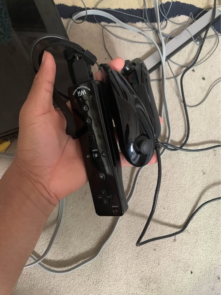 Nintendo Wii - photo 4