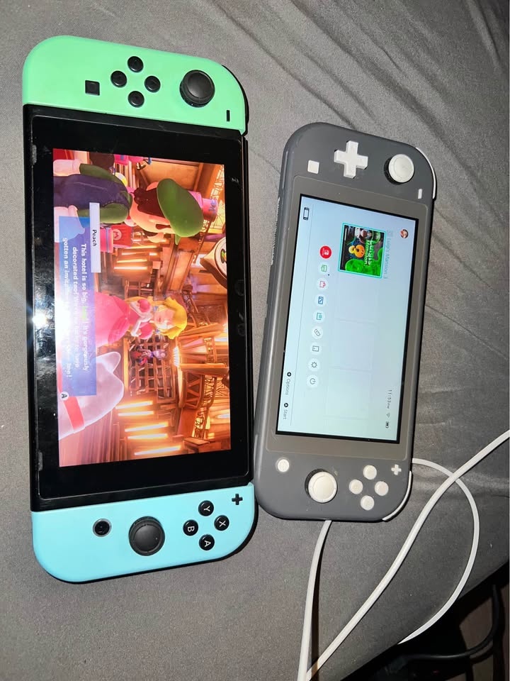Nintendo switch v2 and switch lite for sale - photo 2