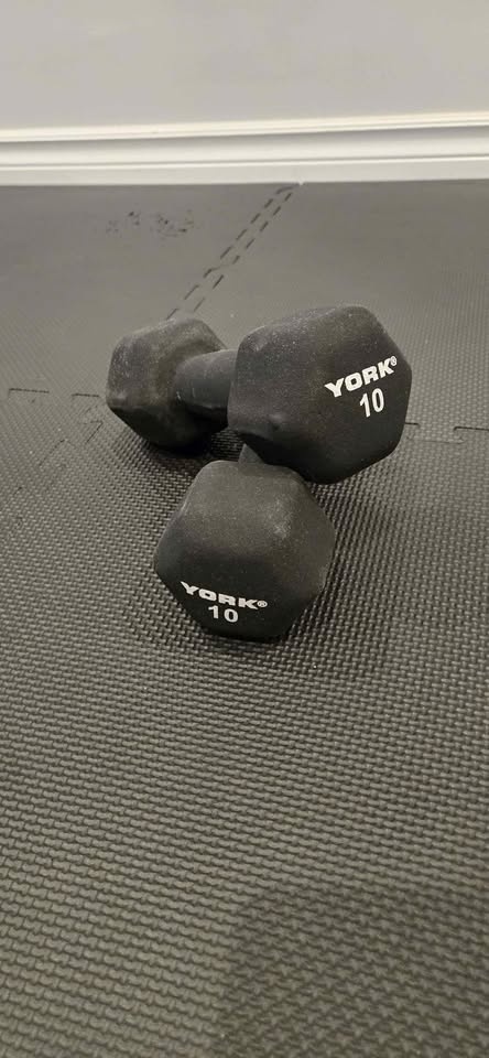 10 Lbs Dumbells