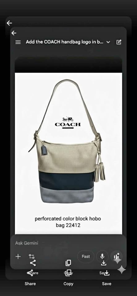 COACH Perforated Color block hobo bag 22412