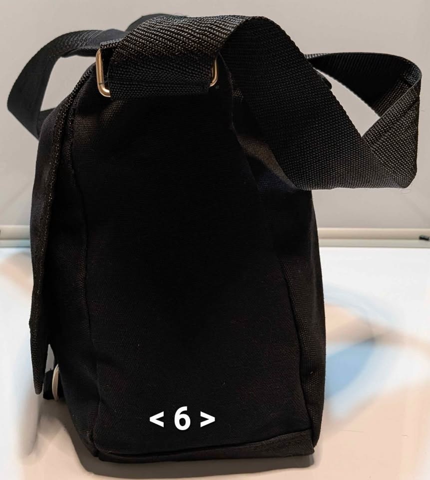 Capezio Y2K Winged Star Messenger Bag - photo 3