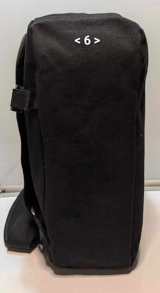 Capezio Y2K Winged Star Messenger Bag - photo 4
