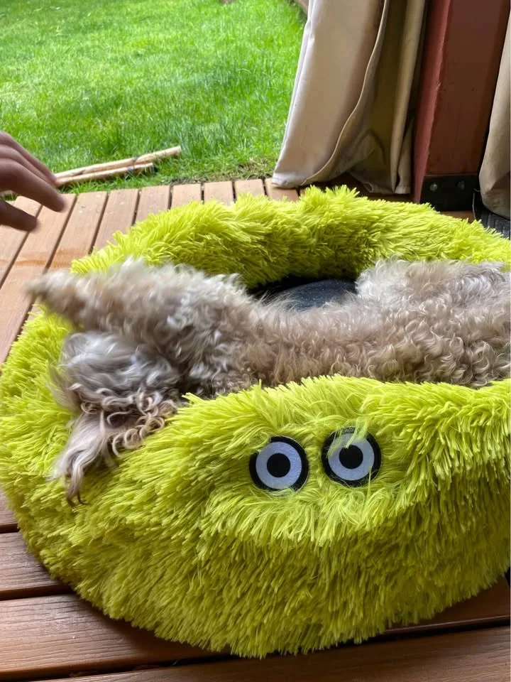 Dog Bed image indicator(4)