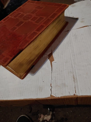 Illustrated Family Bible 1950s ...weights 15 Pounds - photo 3