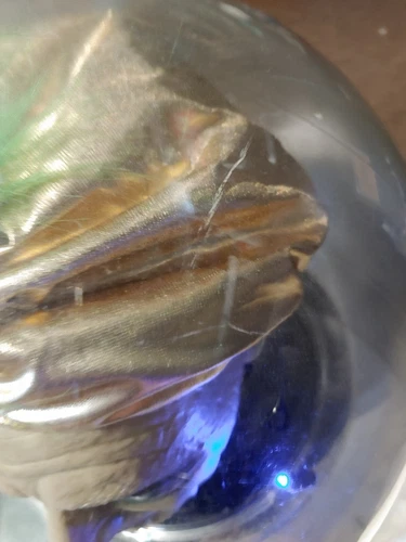 VINTAGE GEMMY HALLOWEEN ANIMATED SULTAN SPIRIT BALL - photo 3