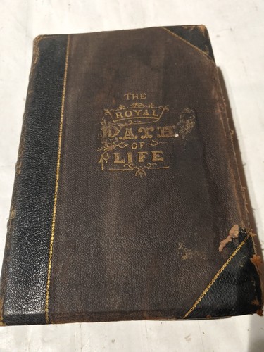 The Royal Path Of Life Aims & Aids To Success & Happiness 1879