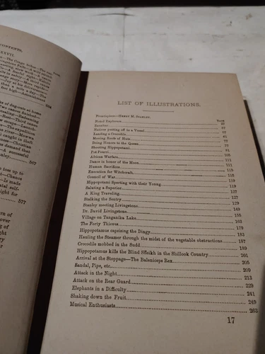 Antique 1878 Rare First Edition Book The Achievements of Stanley - photo 5