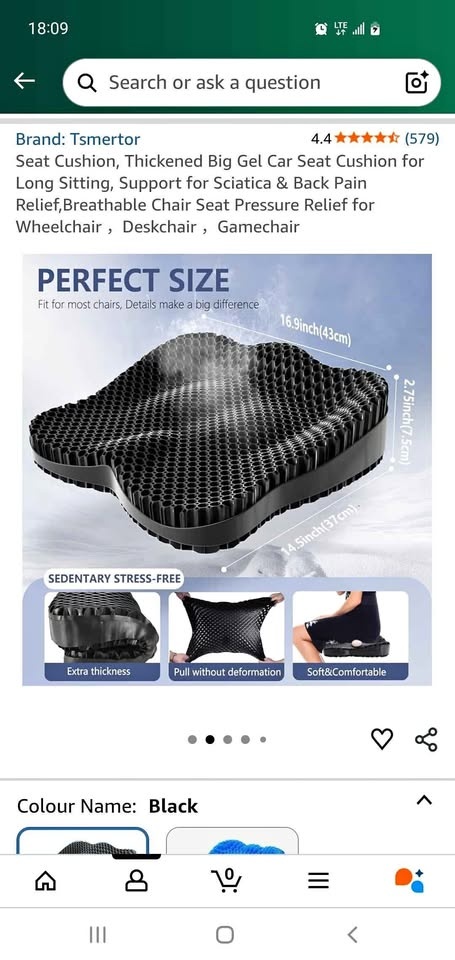 Seat Cushion BNIB