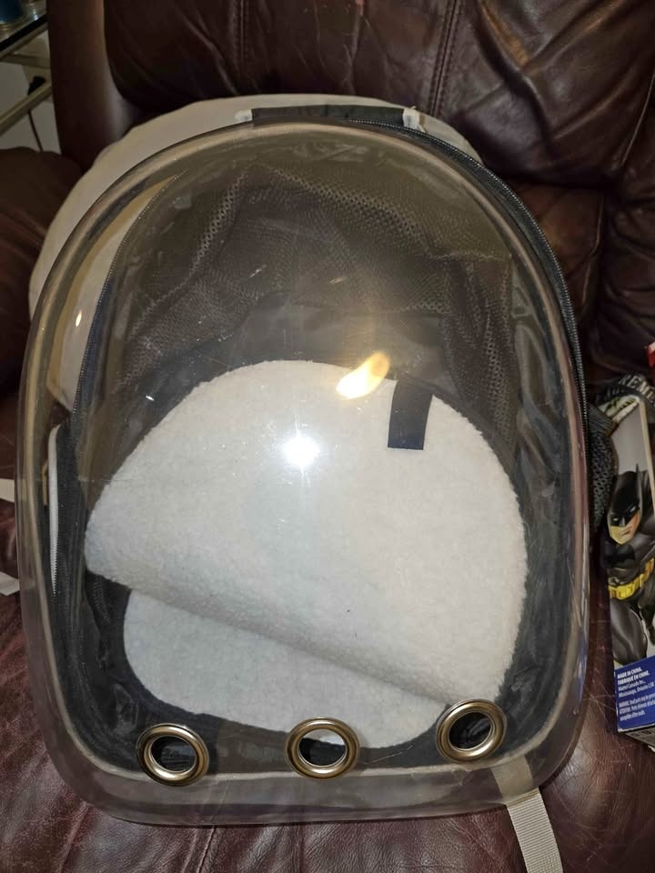 Cat Backpack
