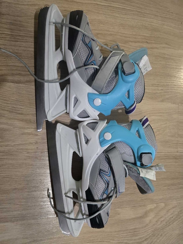 Skating Shoes