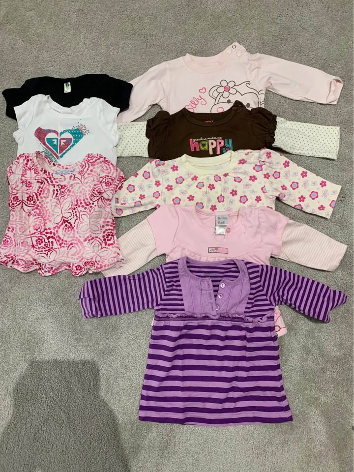 Baby girl size 6-9 mos tops/onesies