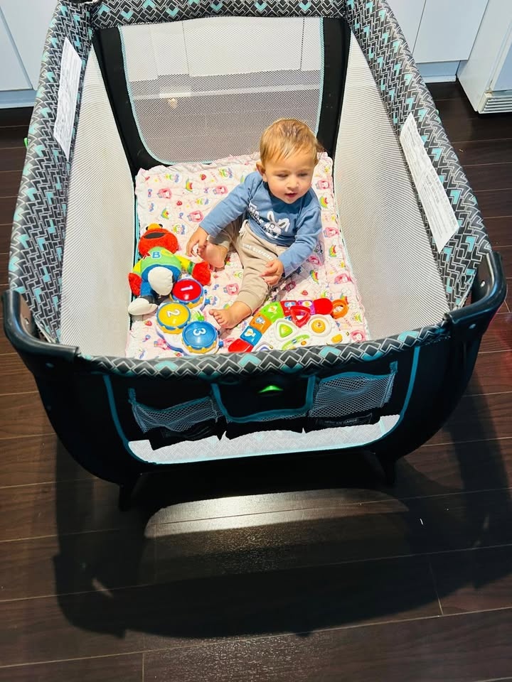 Car seat, Bath tub, Bassinet, Musical toy, Walking stand, Sponge - photo 4