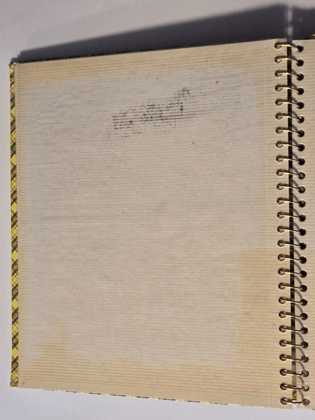 VTG 1970s Photo Album Yellow Plaid 10.25x11.75” - photo 3