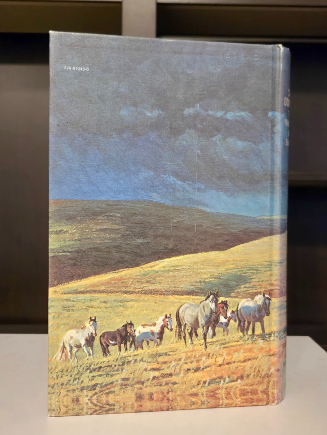 SAN DOMINGO The Medicine Hat Stallion by MARGUERITE HENRY 1st ED - photo 3