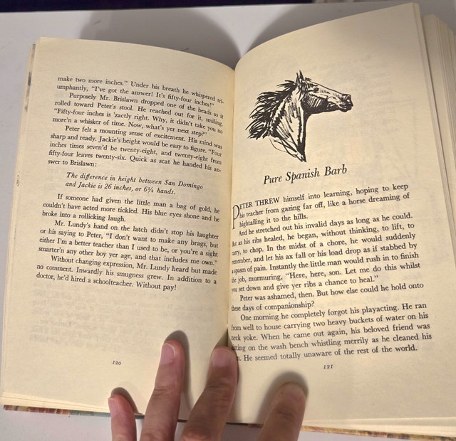SAN DOMINGO The Medicine Hat Stallion by MARGUERITE HENRY 1st ED - photo 5