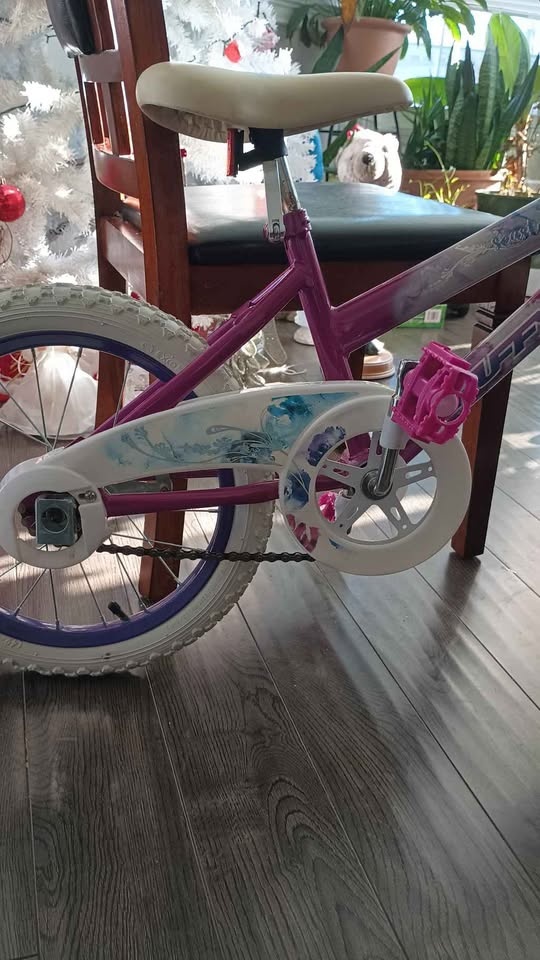 Bicicleta aro 16 - photo 3