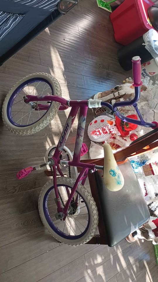 Bicicleta aro 16 - photo 5