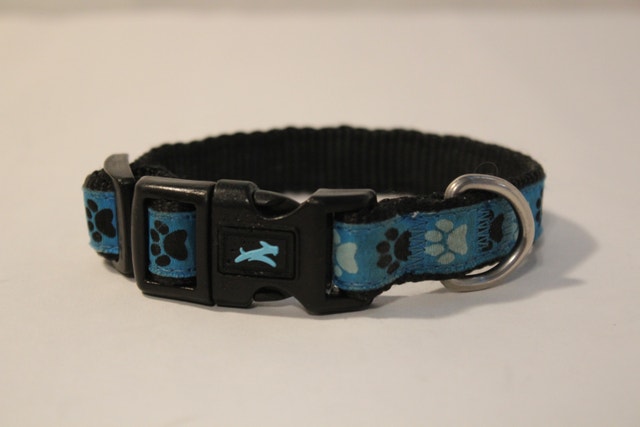 Extra Small Blue Dog/Cat Collar