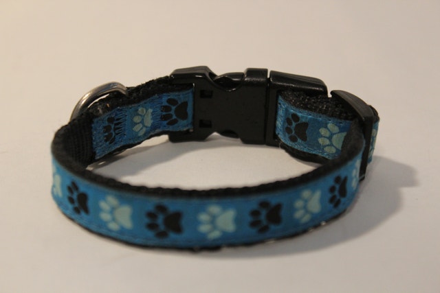 Extra Small Blue Dog/Cat Collar - photo 2