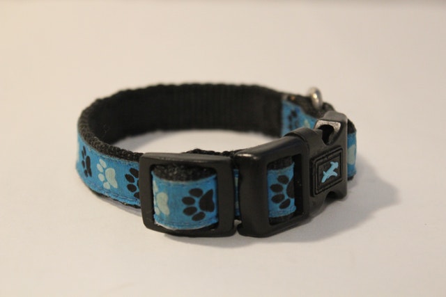 Extra Small Blue Dog/Cat Collar - photo 3
