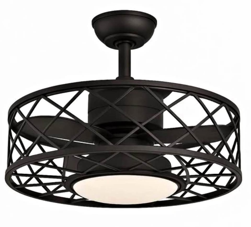 Ceiling fan with light