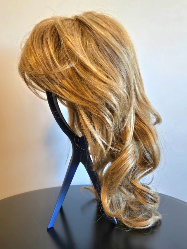 Raquel Welch Wig - Always - Honey Ginger - photo 5