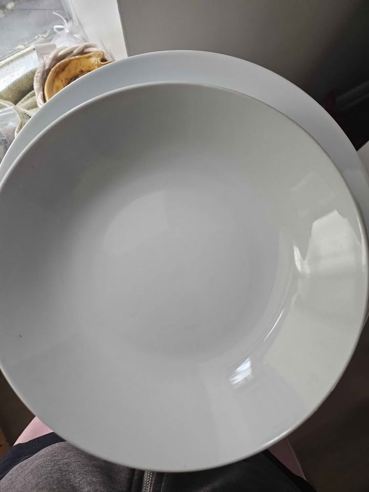 Dish Plates - photo 3