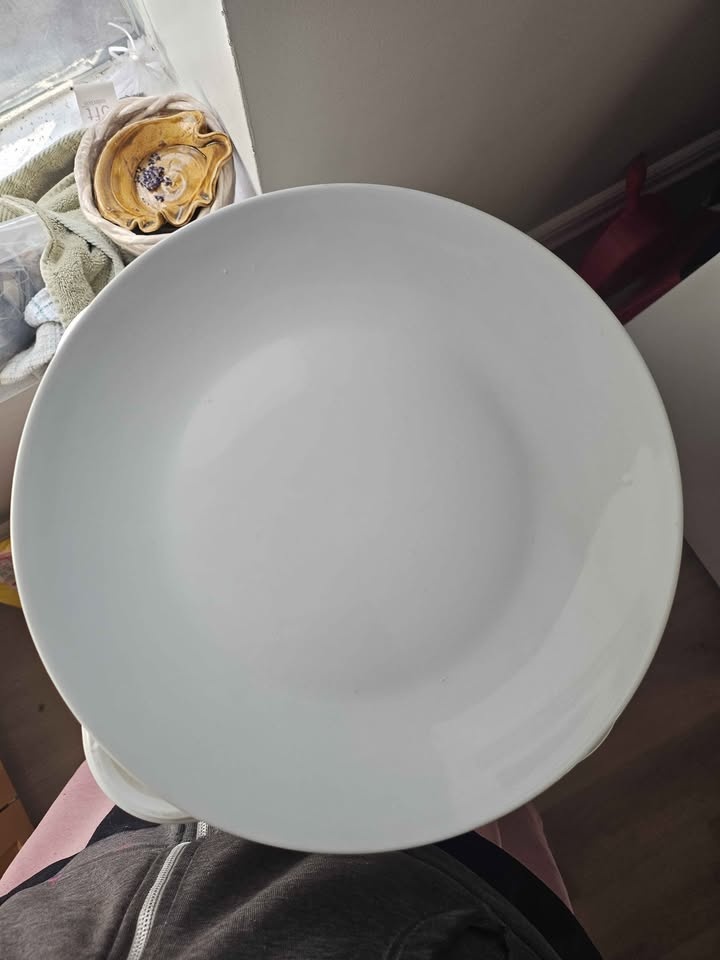 Dish Plates - photo 5