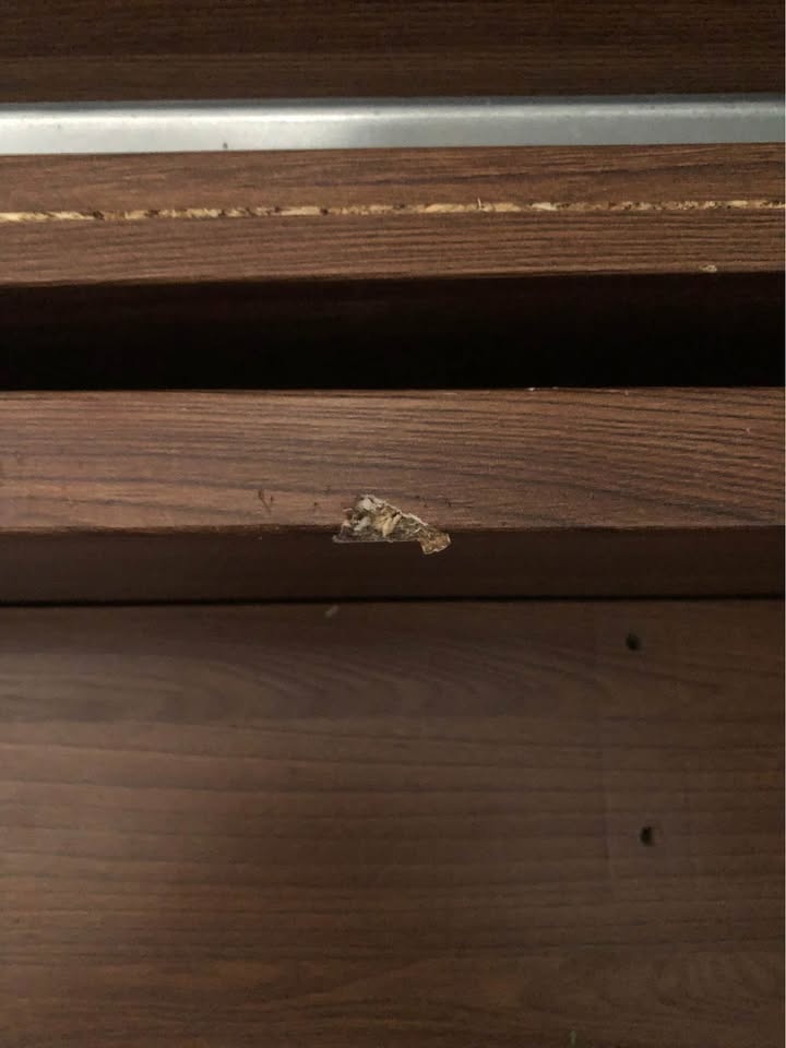 Walnut Queen Size tBed Frame - photo 4