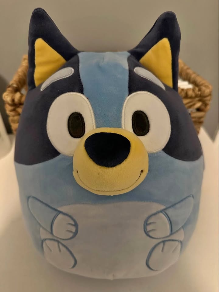Bluey 10 inch squishmallow. *NEW*