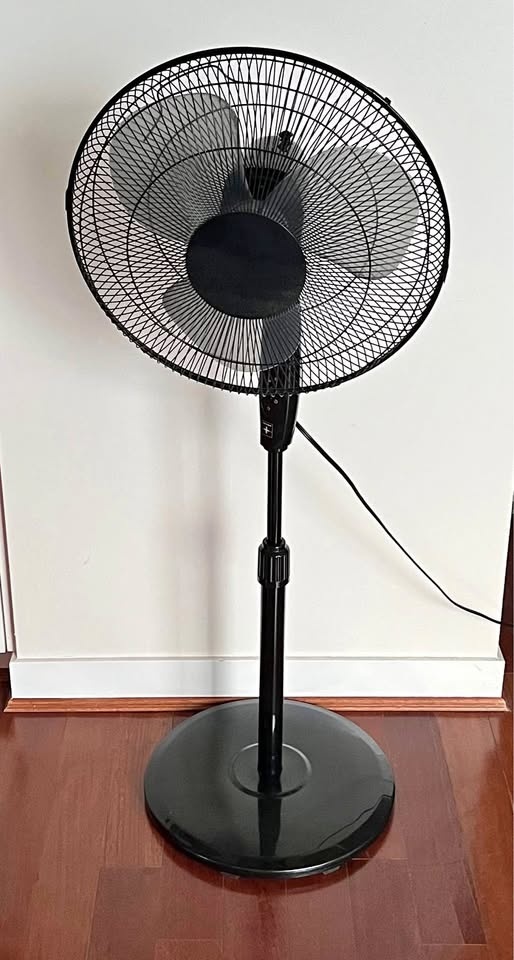 Oscillating Pedestal Fan - Excellent Condition