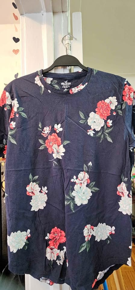 Hollister Men's short sleeve crewneck