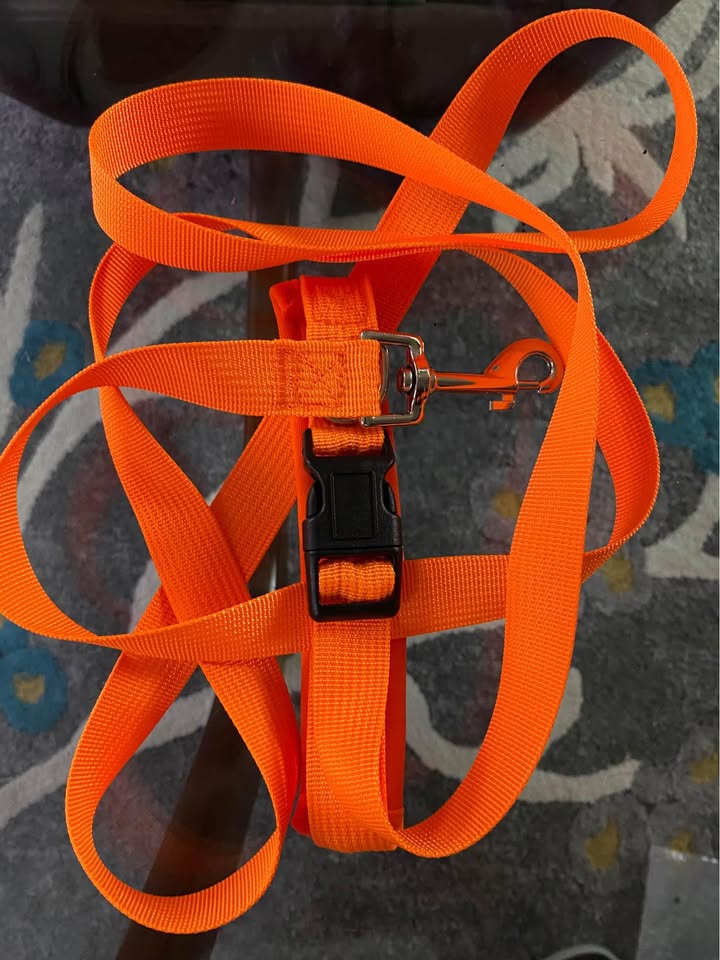 Dog Harness and Leash Set XL - photo 3