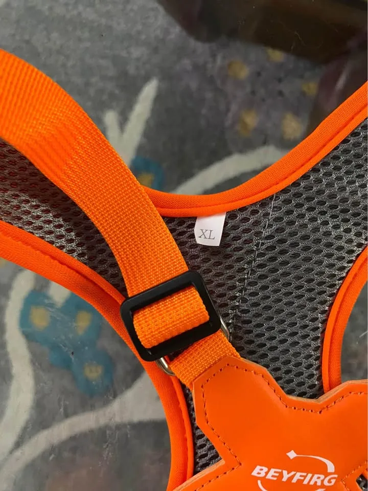 Dog Harness and Leash Set XL image indicator(4)