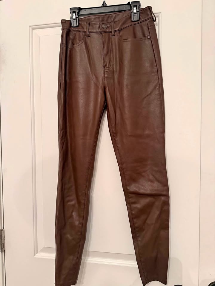 Free People Brown Leather Pants (Size 27)