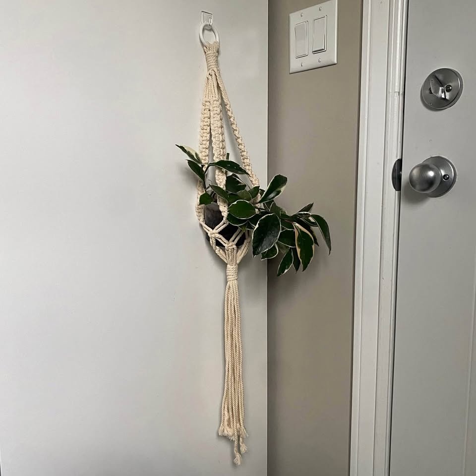 Handmade Macrame Plant Hangers (Black/White)