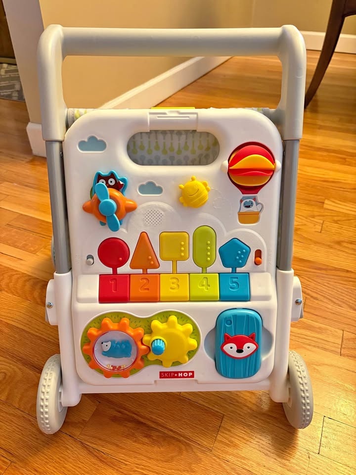 Skip Hop 4-in-1 Walker Toy