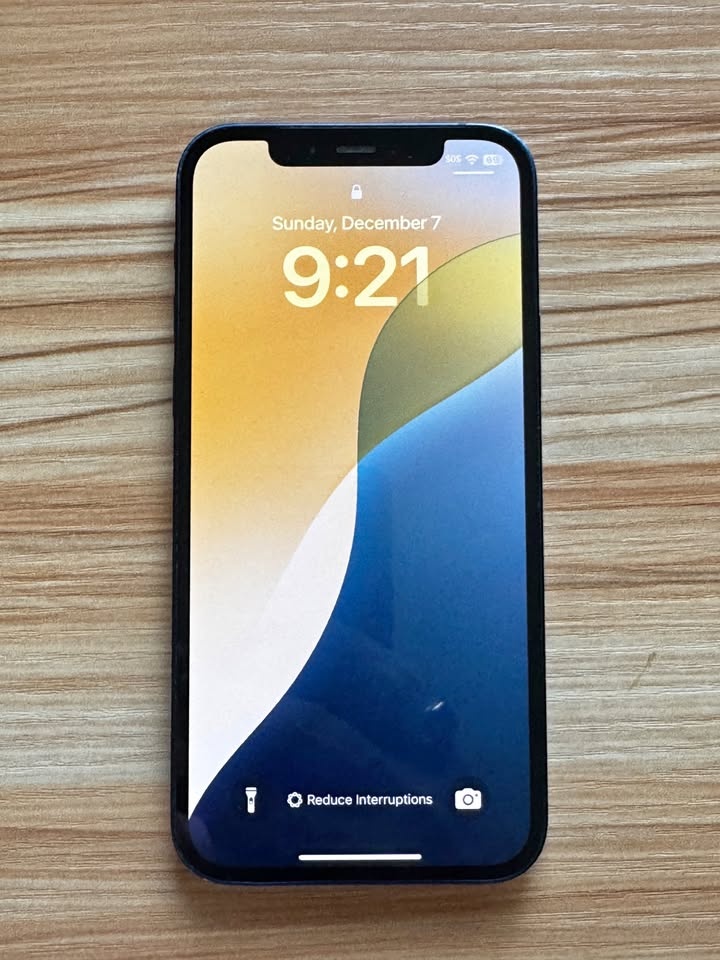 Apple iPhone 12 Blue 128GB (Unlocked)