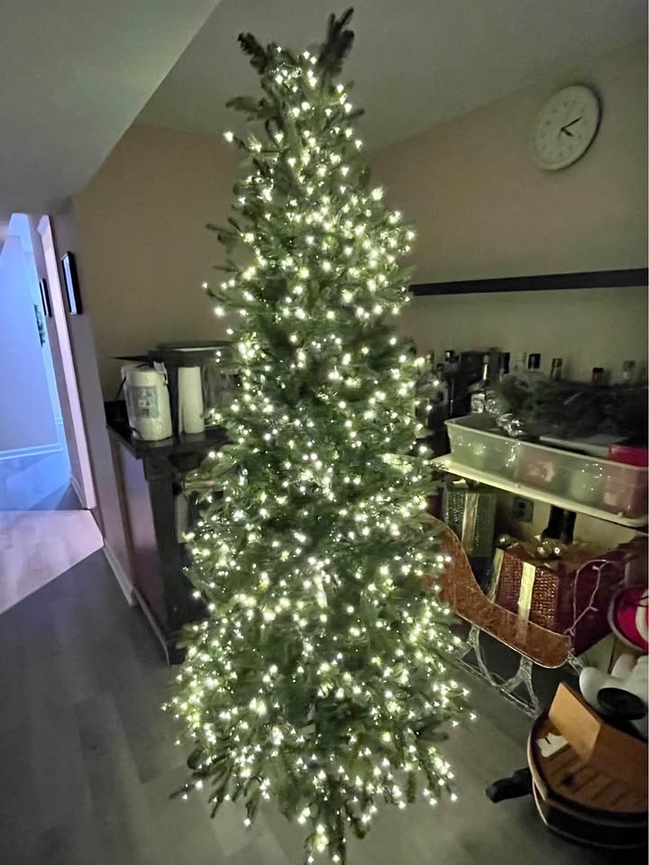 Bethlehem Lights Christmas Tree
