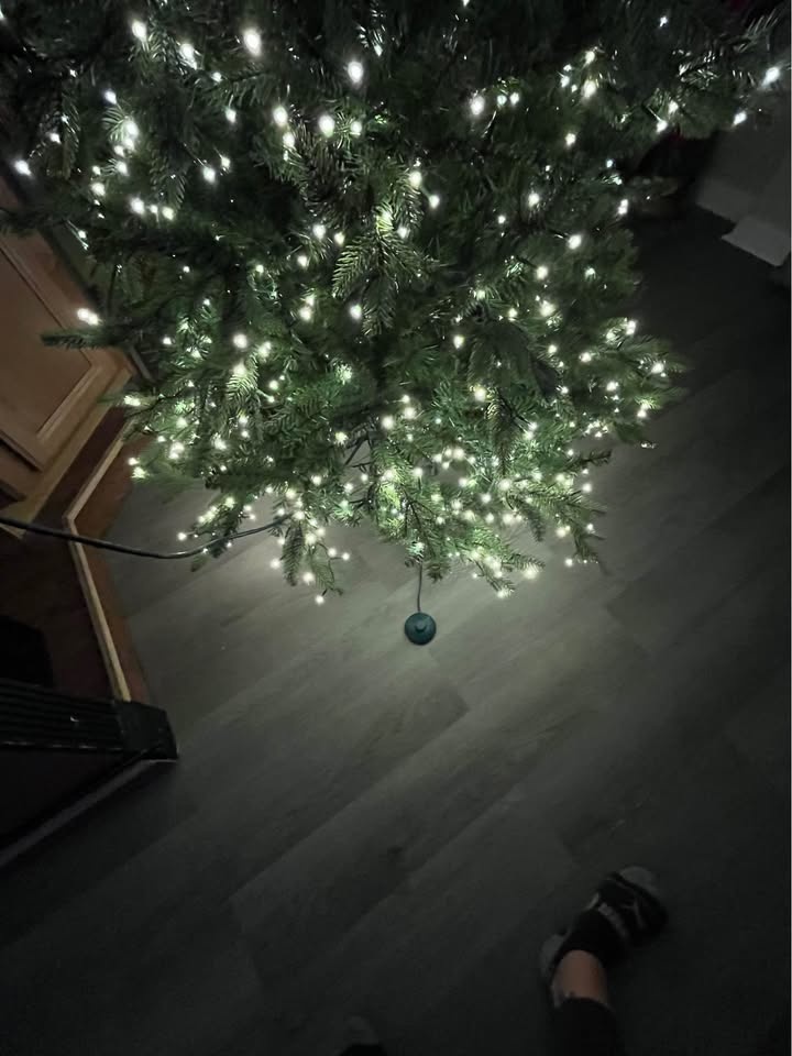 Bethlehem Lights Christmas Tree - photo 2