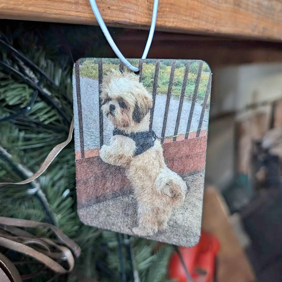 Custom Double Sided Air Fresheners (Comes Scent Free)