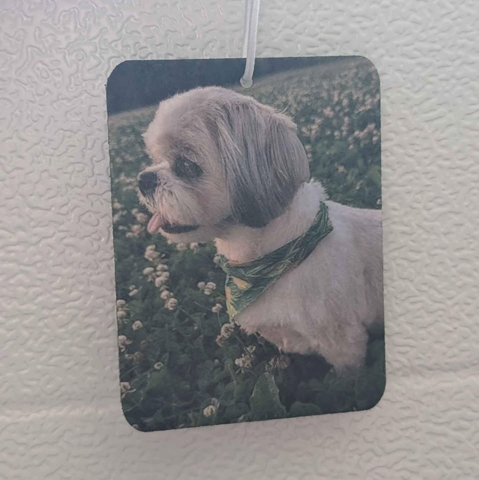Custom Double Sided Air Fresheners (Comes Scent Free) - photo 3